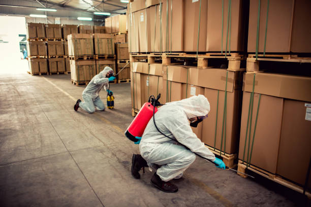 Best Exterminator Services  in Lyons, GA