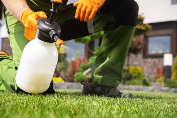 Best Residential Pest Control  in Lyons, GA
