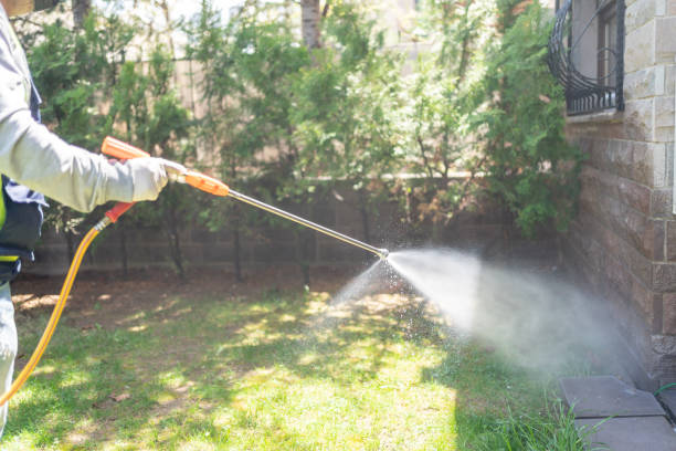 Best Ant Control Services  in Lyons, GA