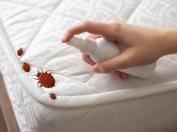 Best Pest Inspection Near Me  in Lyons, GA