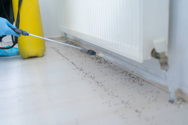 Best Rat Extermination Near Me  in Lyons, GA